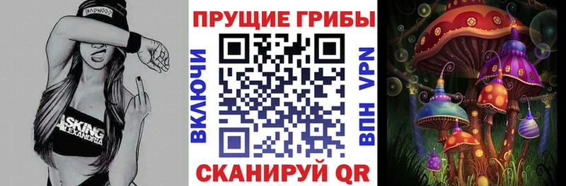 Псилоцибиновые грибы MAGIC MUSHROOMS  Андреаполь 